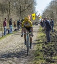 The Cyclist Maarten Wynants in The Forest of Arenberg- Paris Roubaix 2015
