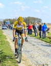 The Cyclist Maarten Wynants - Paris Roubaix 2015