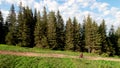 Cyclist man riding electric mountain bike outdoors along grassy trail in the mountains.