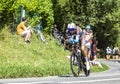 The Cyclist Mikael Cherel - Tour de France 2019