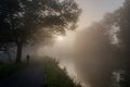 Cyclist on a Misty Riverside Journey at Dawn