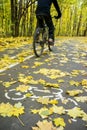 Cyclist in motion on road for bicycle in autumn