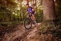 Cyclist on a mountain bike riding in the forest .Spring, nature ,sport concept Royalty Free Stock Photo