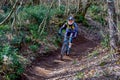 Cyclist in a mountain bike runs alone on the country path