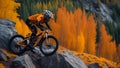 cyclist in orange riding the mountain bike on the autumn rocky trail Royalty Free Stock Photo