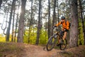 Cyclist in Orange Riding the Mountain Bike on the Trail in the Beautiful Pine Forest Lit by Bright Sun. Royalty Free Stock Photo