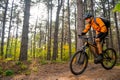 Cyclist in Orange Riding the Mountain Bike on the Trail in the Beautiful Pine Forest Lit by Bright Sun. Royalty Free Stock Photo