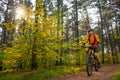 Cyclist in Orange Riding the Mountain Bike on the Trail in the Beautiful Pine Forest Lit by Bright Sun. Royalty Free Stock Photo