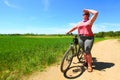 The cyclist. Royalty Free Stock Photo