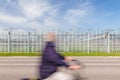 Cyclist passing a Dutch greenhouse on an asphalt road