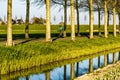 Cyclist pedals down road in West Friesland, Netherlands