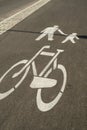 Cyclist and pedestrian route zone sharing sign on a street. Painted Street Asphalt Bicycle Lane Sign White Safety. Road Royalty Free Stock Photo