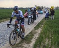 The Cyclist Peter Sagan - Paris-Roubaix 2019