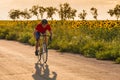 A cyclist in red blue form rides on a road bike along fields of sunflowers Royalty Free Stock Photo