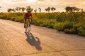 A cyclist in red blue form rides on a road bike along fields of sunflowers Royalty Free Stock Photo