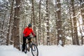 Cyclist in Red Riding Mountain Bike in Beautiful Winter Forest. Adventure, Sport and Enduro Cycling Concept. Royalty Free Stock Photo