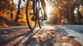 Cyclist rides a bicycle down a road in the autumn leaves at sunset Royalty Free Stock Photo