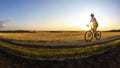 The cyclist rides a bike on the road near the field against the backdrop of the setting sun. Outdoor sports. Healthy lifestyle Royalty Free Stock Photo