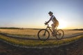 The cyclist rides a bike on the road near the field against the backdrop of the setting sun. Outdoor sports. Healthy lifestyle Royalty Free Stock Photo