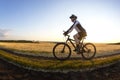 The cyclist rides a bike on the road near the field against the backdrop of the setting sun. Outdoor sports. Healthy lifestyle Royalty Free Stock Photo