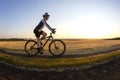 The cyclist rides a bike on the road near the field against the backdrop of the setting sun. Outdoor sports. Healthy lifestyle Royalty Free Stock Photo