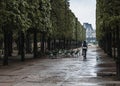 A cyclist rides through the park in Paris after the rain