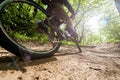 cyclist rides on a forest road. Adventure sport. Mountain bike. Royalty Free Stock Photo