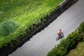The cyclist rides a mountain bike with full suspension along an asphalt road along the green plantations up. Dressed in a velvet-c Royalty Free Stock Photo