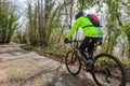 Cyclist rides a mountain bike on the tree-lined path