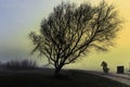 A cyclist riding beside a big tree Royalty Free Stock Photo