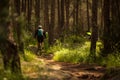 Cyclist Riding the Bike on the Trail in the Beautiful Pine Forest. Adventure and Travel Concept Royalty Free Stock Photo