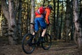 Cyclist Riding the Bike on the Trail in Beautiful Pine Forest. Healthy Lifestyle and Sport Concept. Royalty Free Stock Photo