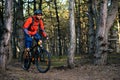Cyclist Riding the Bike on the Trail in Beautiful Pine Forest. Healthy Lifestyle and Sport Concept. Royalty Free Stock Photo