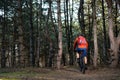 Cyclist Riding the Bike on the Trail in Beautiful Pine Forest. Healthy Lifestyle and Sport Concept. Royalty Free Stock Photo