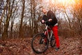 Cyclist Riding the Bike on the Trail in the Beautiful Spring Forest Wide Angle Royalty Free Stock Photo