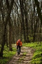 Cyclist Riding the Bike on a Trail in Summer Forest Royalty Free Stock Photo