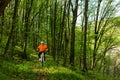 Cyclist Riding the Bike on a Trail in Summer Forest Royalty Free Stock Photo