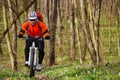 Cyclist Riding the Bike on a Trail in Summer Forest Royalty Free Stock Photo