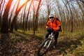 Cyclist Riding the Bike on a Trail in Summer Forest Royalty Free Stock Photo