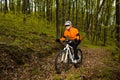 Cyclist Riding the Bike on a Trail in Summer Forest Royalty Free Stock Photo