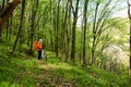 Cyclist Riding the Bike on a Trail in Summer Forest Royalty Free Stock Photo