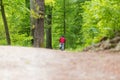 Cyclist Riding Bycicle on Forest Trail. Royalty Free Stock Photo