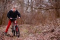 Cyclist riding a mountain bike along the forest road Royalty Free Stock Photo