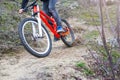 Cyclist riding a mountain bike, bottom view. Royalty Free Stock Photo