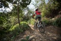 Cyclist riding mountain bike on rocky trail Royalty Free Stock Photo