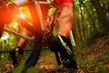 Cyclist riding mountain bike on rocky trail Royalty Free Stock Photo