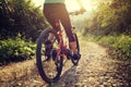 cyclist riding mountain bike on rocky trail at sunny day Royalty Free Stock Photo