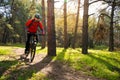 Cyclist Riding Mountain Bike on the Trail in the Beautiful Pine Forest under the Sun. Adventure and Travel Concept. Royalty Free Stock Photo