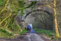 A cyclist riding on the Tarka Trail near Barnstaple in Devon, UK Royalty Free Stock Photo