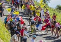 The Cyclist Romain Sicard - Tour de France 2016 Royalty Free Stock Photo